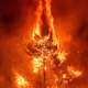Flames rise from a forest fire near the village of Makrimalli on the island of Evia, northeast of Athens, on August 13, 2019.